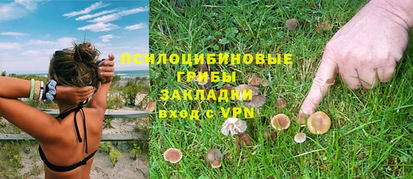 jwh Бородино