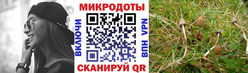 Псилоцибиновые грибы ЛСД  omg сайт  Козельск  хочу  